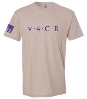 Men's Grey/Royal Blue T-Shirt (available: 3XL)